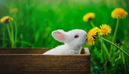 kaiyun中国官方网站-韩国星际争霸赛事奖项公布，韩国星际争霸比赛