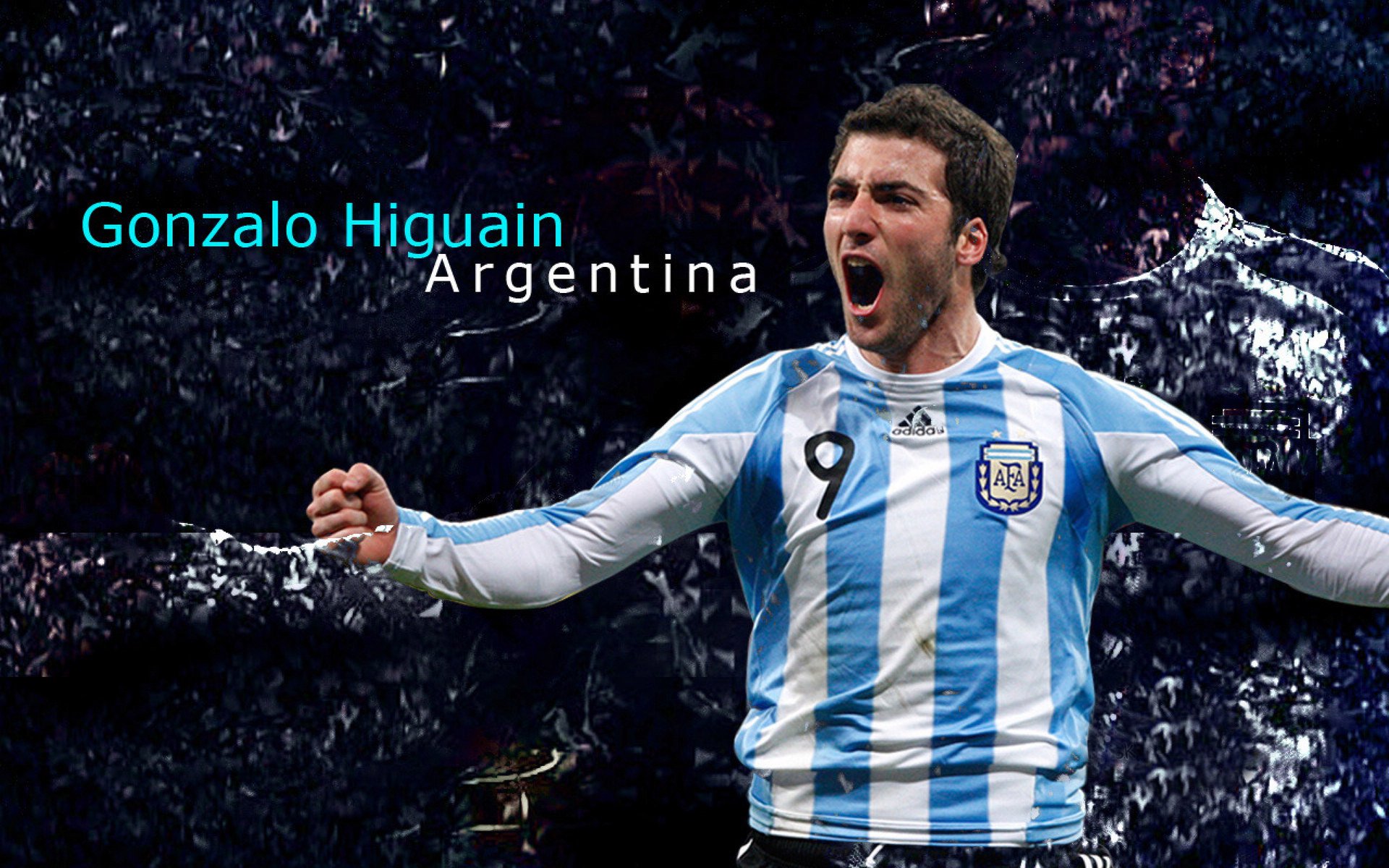 全国体操新人挑战赛小花摘得三金，中国体操新人